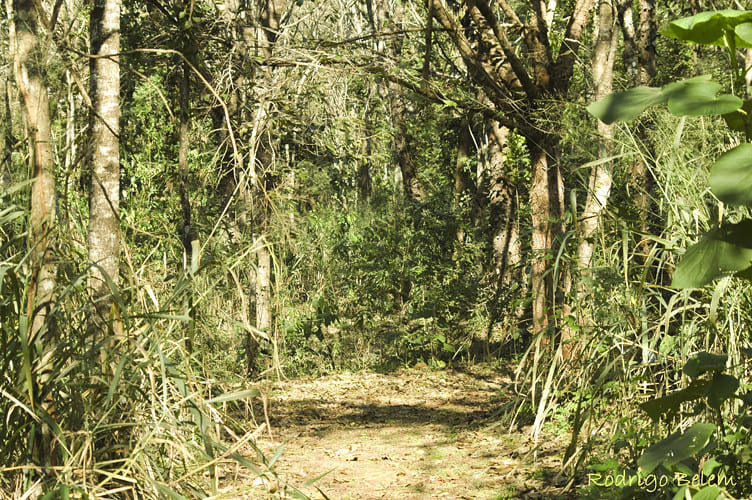 parque godoy